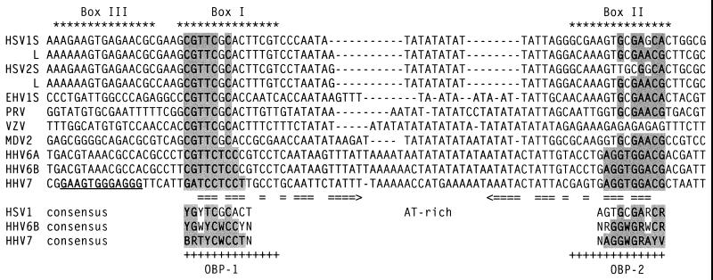 FIG. 11