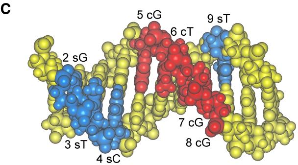 FIG. 10