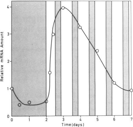 graphic file with name pnas00261-0119-a.jpg