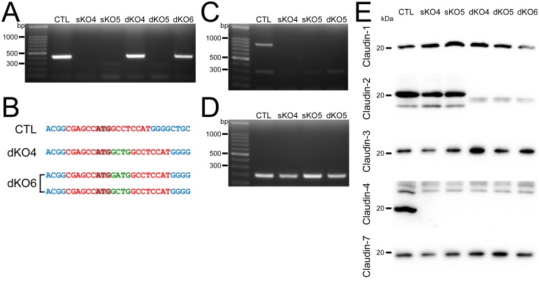 Fig 9