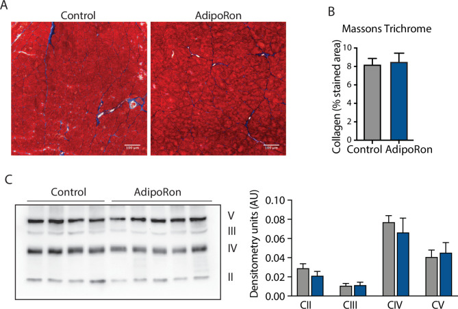 Figure 2—figure supplement 2.