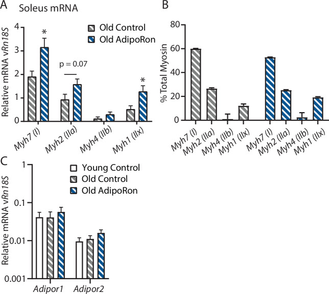 Figure 2—figure supplement 1.