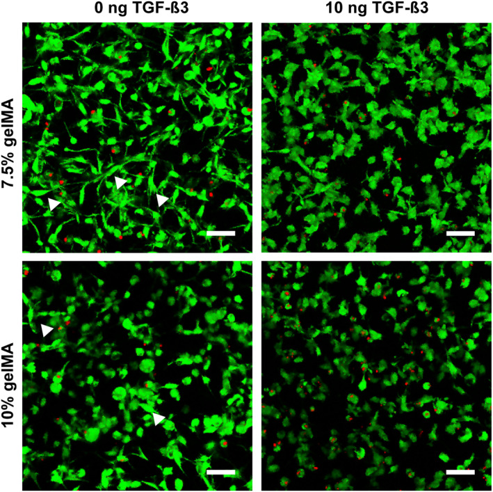 FIGURE 3