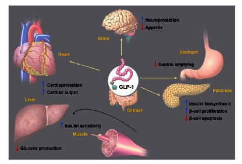 Fig. (3)