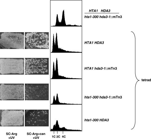 Figure 3.