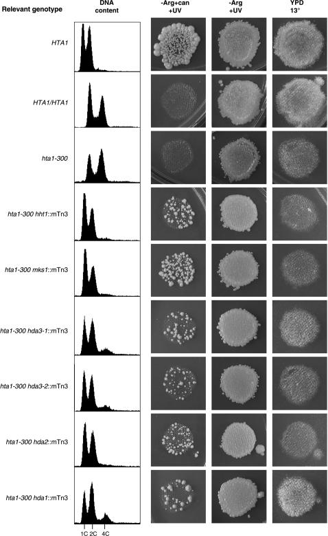 Figure 2.