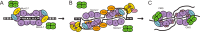 FIGURE 7.