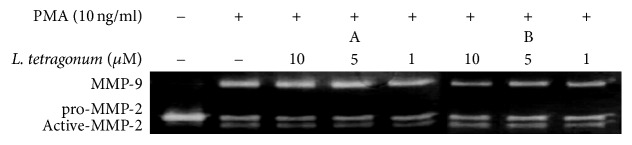 Figure 4