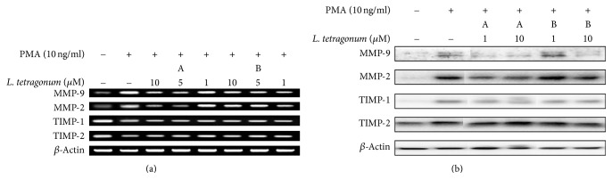 Figure 5