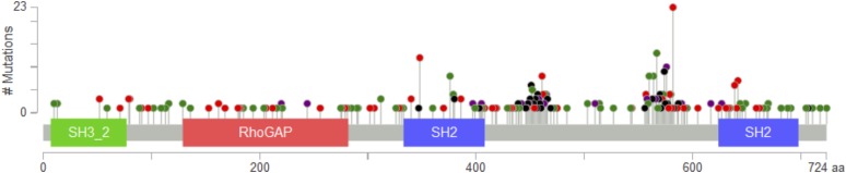 Figure 5—figure supplement 1.