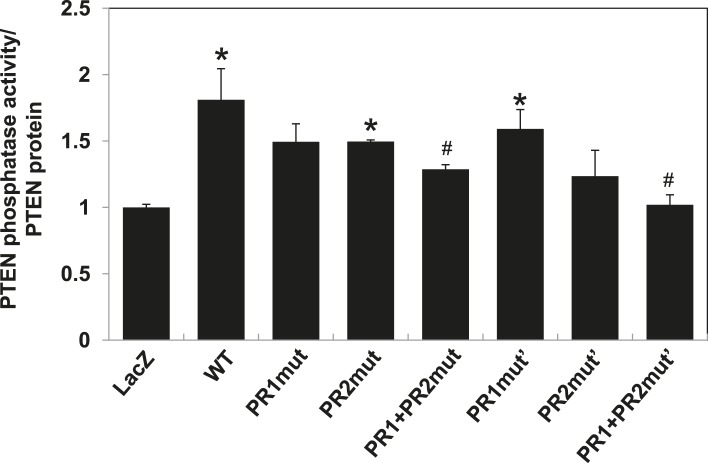 Figure 2—figure supplement 2.