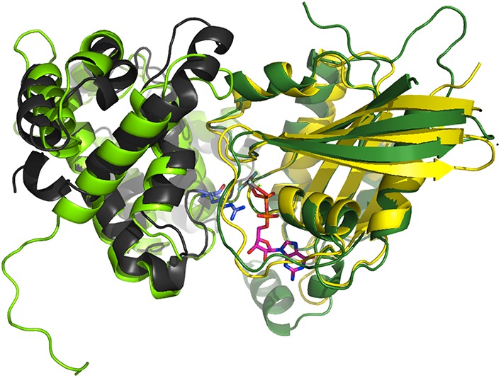 Appendix figure 1.