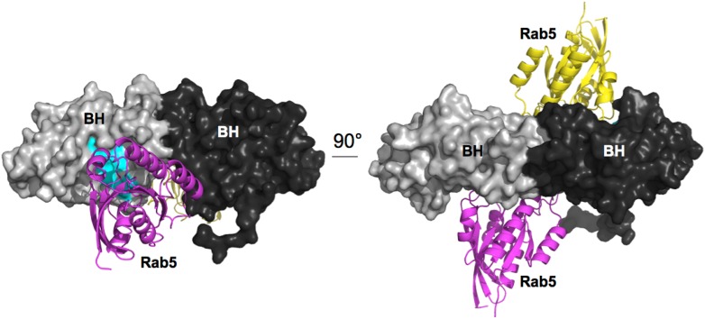 Appendix figure 2.