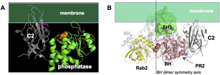 Appendix figure 4.