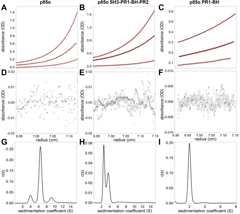 Figure 1—figure supplement 1.