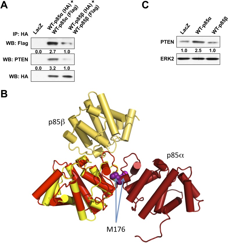 Figure 1—figure supplement 5.