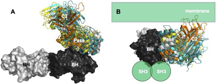 Appendix figure 6.