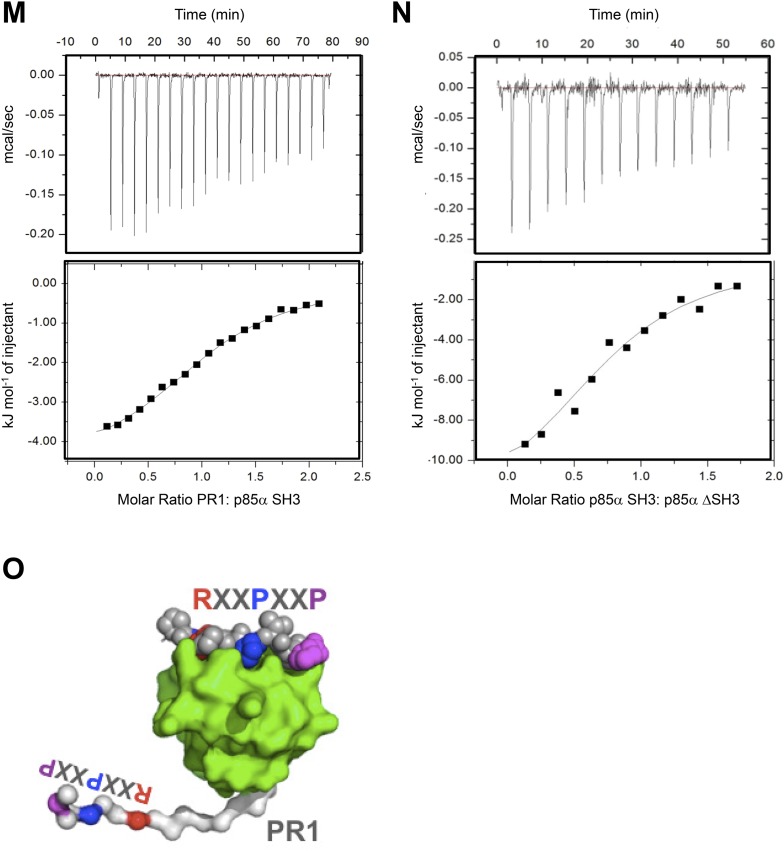 Figure 1—figure supplement 3.