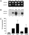 Fig 3.