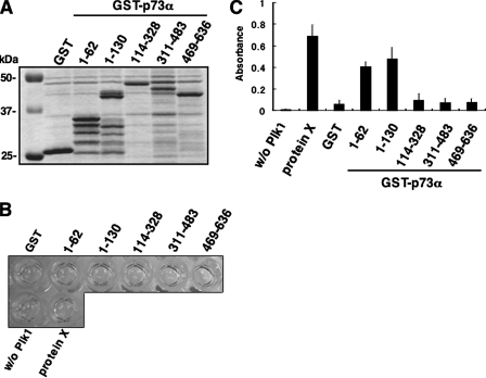 FIGURE 10.