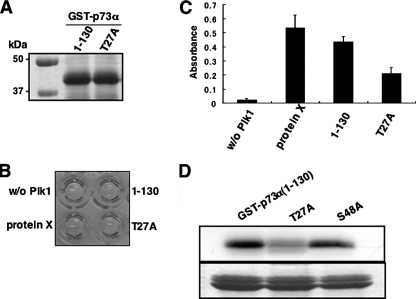 FIGURE 11.