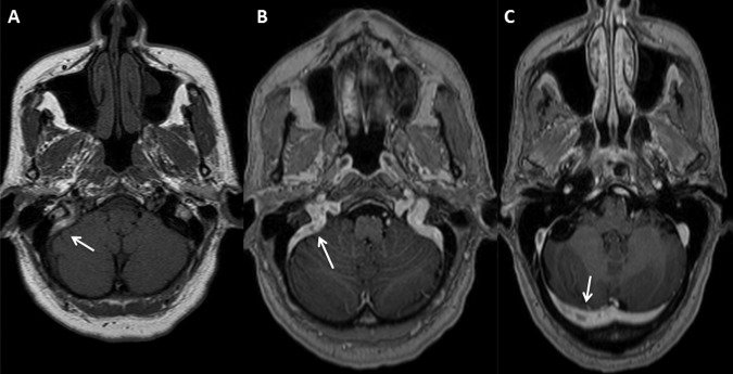 Figure 1