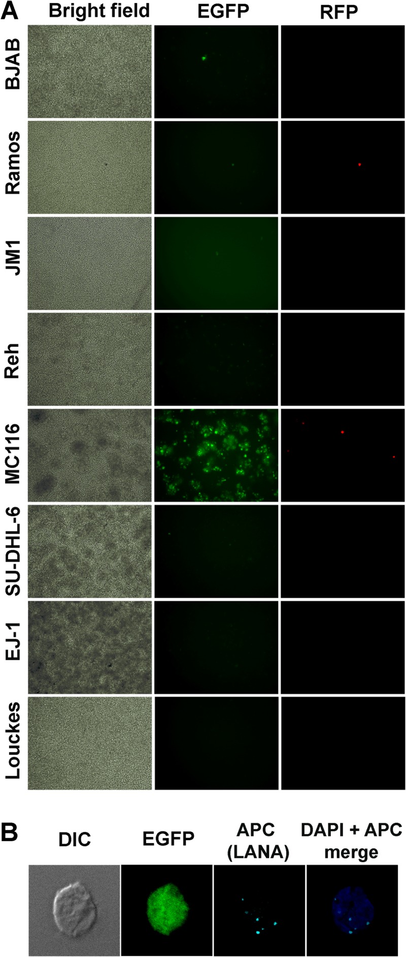 FIG 1