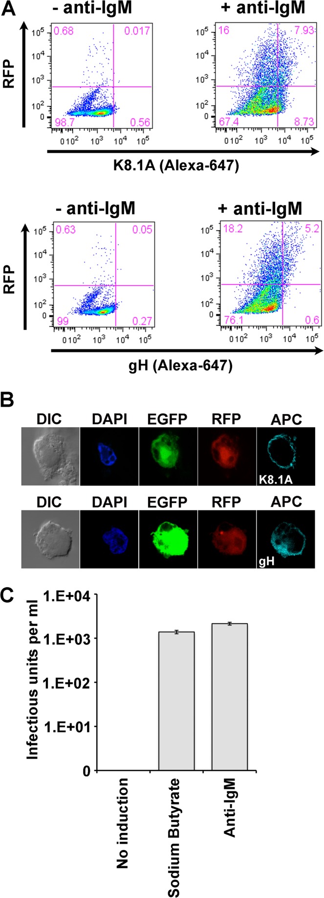 FIG 6