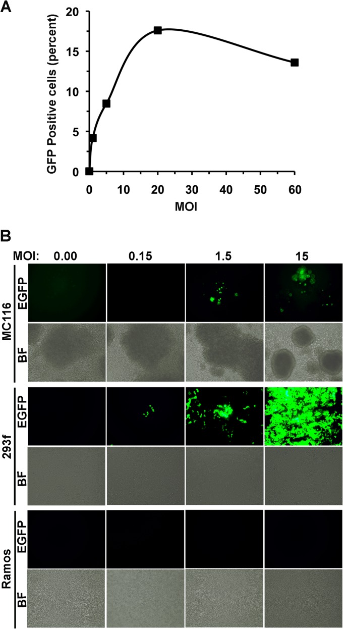 FIG 2