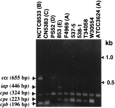 FIG. 1