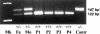 Figure  2