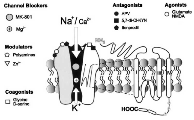 Fig. (2)