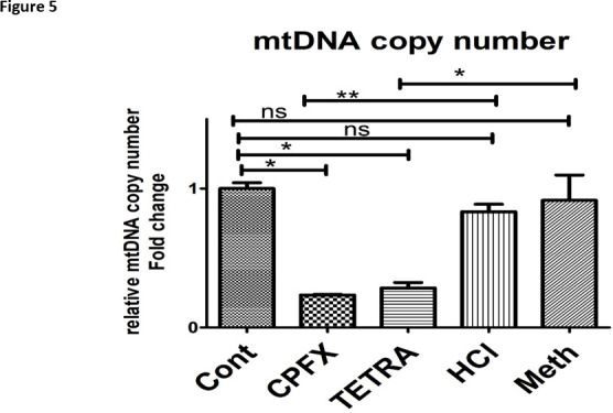 Figure 5