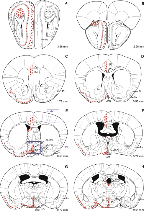 Fig. 4