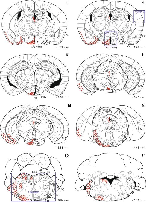 Fig. 4