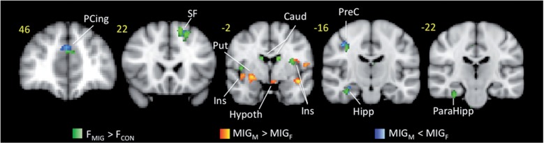 Figure 6