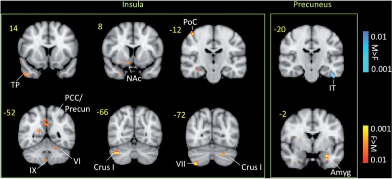 Figure 7