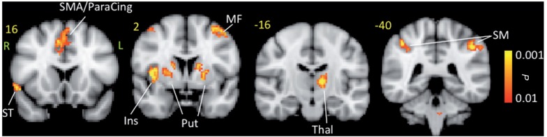 Figure 5