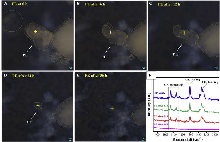 Figure 3