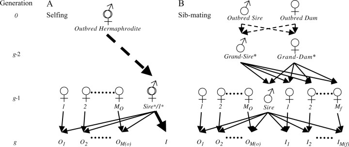 Figure 1.—