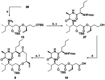 Scheme 6