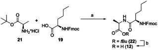 Scheme 5