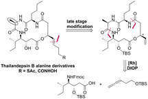 graphic file with name CHEM-26-16241-g010.jpg