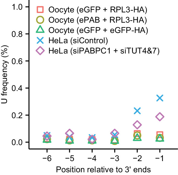 Figure 5—figure supplement 1.