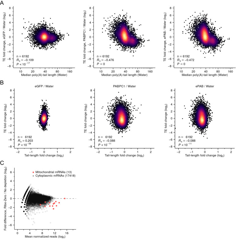 Figure 2—figure supplement 1.