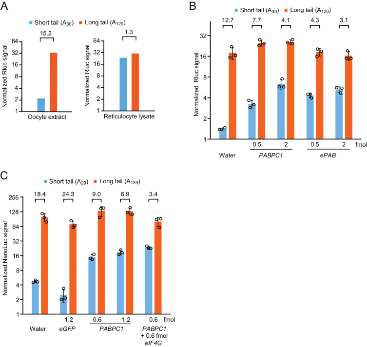 Figure 1—figure supplement 2.