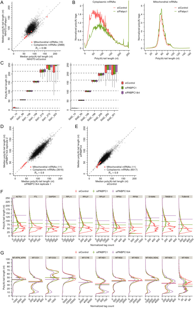 Figure 4—figure supplement 2.