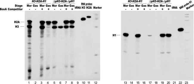 Figure 5.