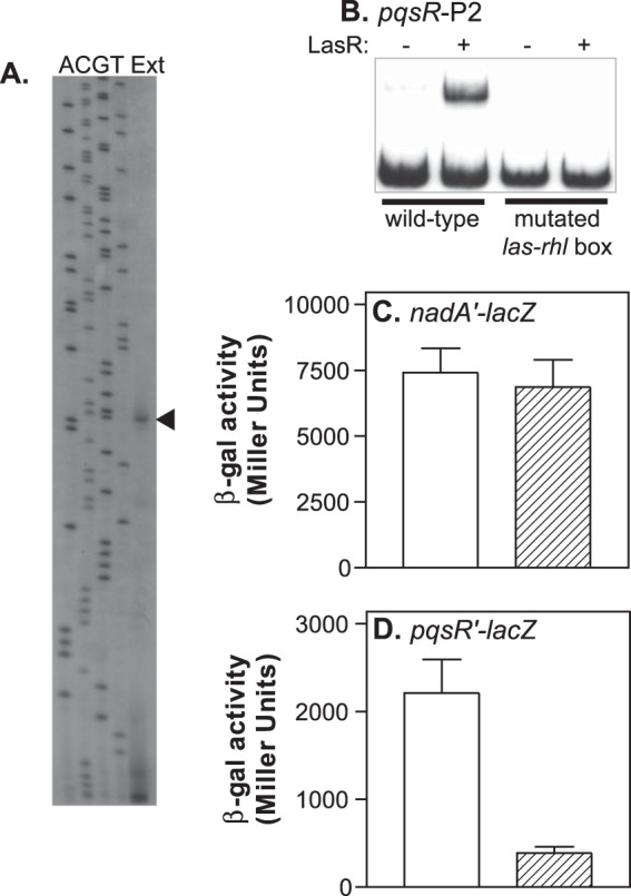 FIG 2