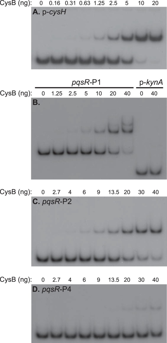 FIG 7